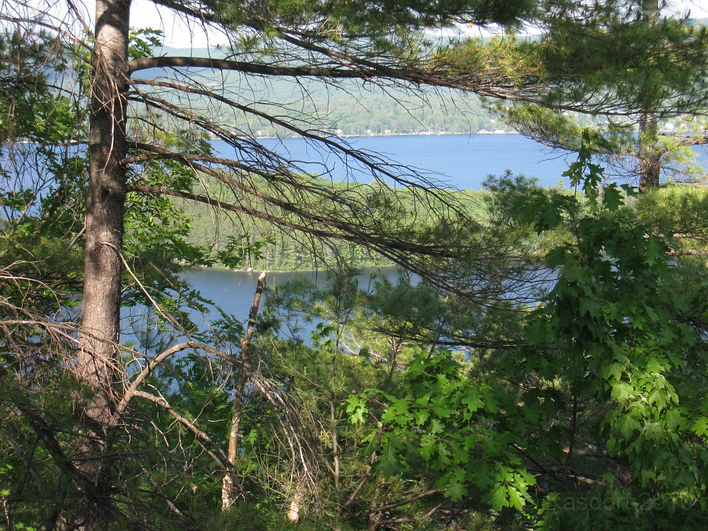 Elwell Trail NH 2010 100.jpg - The Elwell Trail North of Bristol NH, runs along Newfound Lake. The trail goes to Little and Big Sugarloaf mountains. Supposedly it also connects to Mt Cardigan. May 2010.